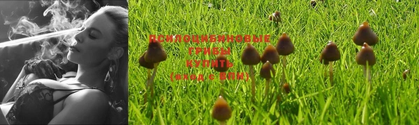 марки lsd Аркадак