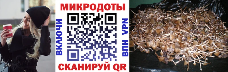 Галлюциногенные грибы MAGIC MUSHROOMS  Минусинск 